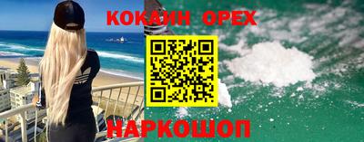стаф Сланцы