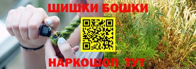 стаф Сланцы