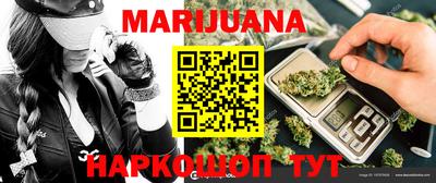 стаф Сланцы