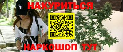 стаф Сланцы