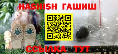 стаф Сланцы
