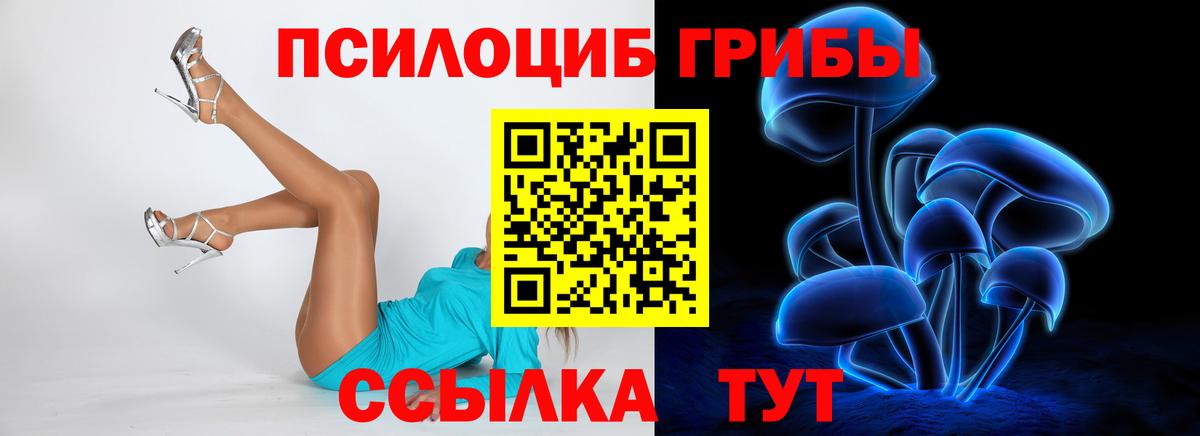 Псилоцибиновые грибы мухоморы  Рославль  Галлюциногенные грибы Magic Shrooms 